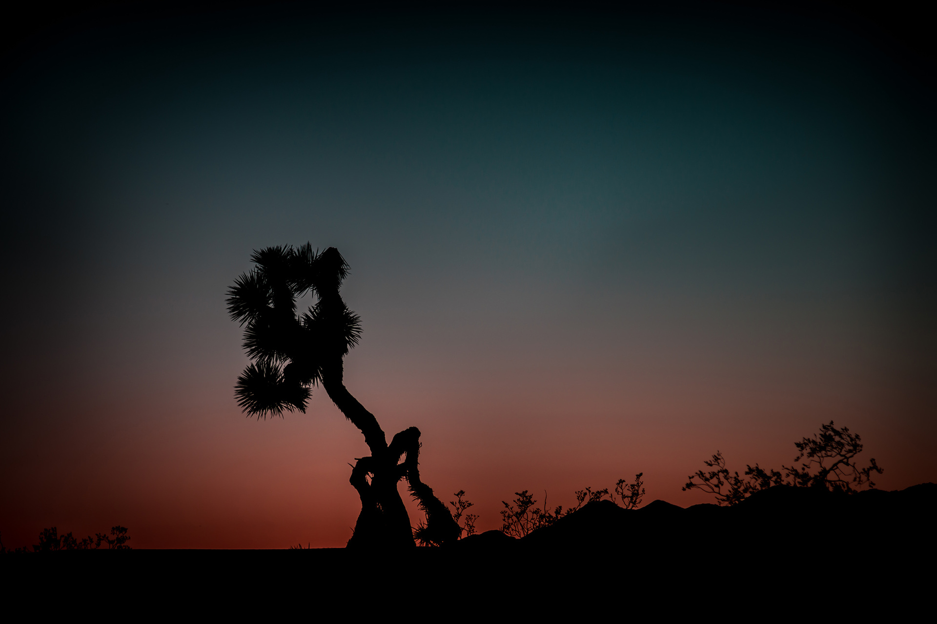 Photograph from UNNAMED DARKNESS